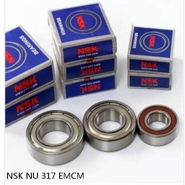 NSK NU 317 EMCM JAPAN Bearing 100×215×47