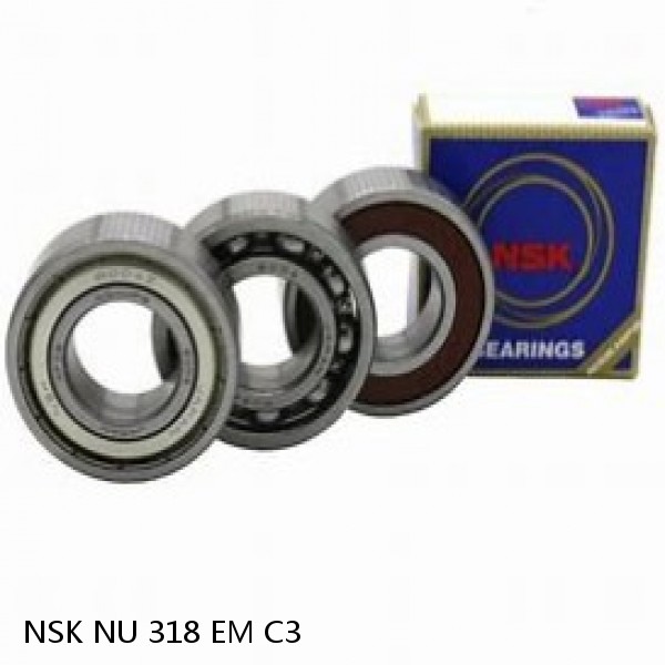 NSK NU 318 EM C3 JAPAN Bearing 110×240×50