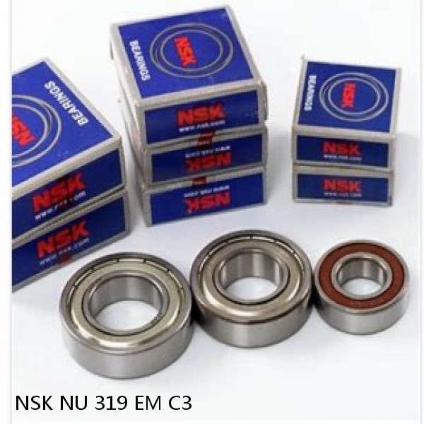 NSK NU 319 EM C3 JAPAN Bearing 140X300X62