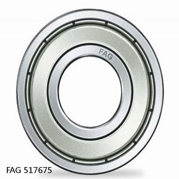 517675 FAG Cylindrical Roller Bearings