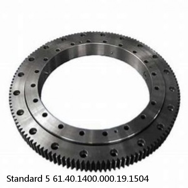 61.40.1400.000.19.1504 Standard 5 Slewing Ring Bearings