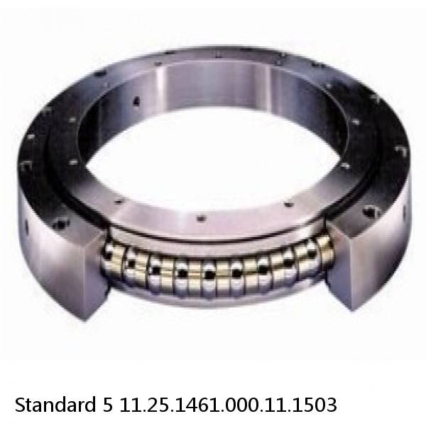 11.25.1461.000.11.1503 Standard 5 Slewing Ring Bearings