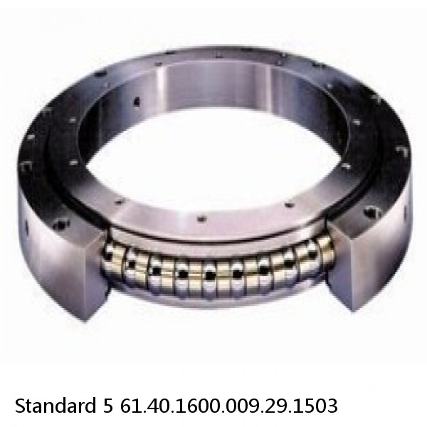 61.40.1600.009.29.1503 Standard 5 Slewing Ring Bearings