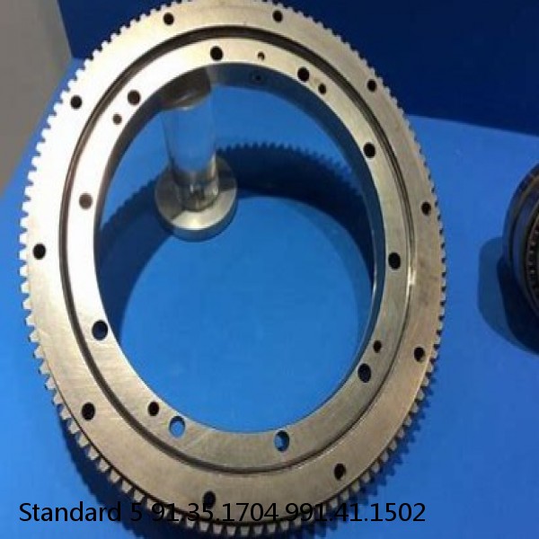 91.35.1704.991.41.1502 Standard 5 Slewing Ring Bearings