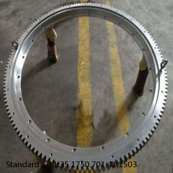 11.35.1750.701.41.1503 Standard 5 Slewing Ring Bearings