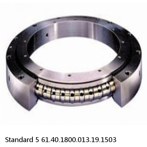 61.40.1800.013.19.1503 Standard 5 Slewing Ring Bearings