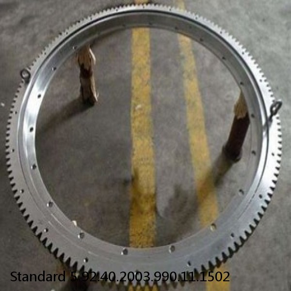 92.40.2003.990.11.1502 Standard 5 Slewing Ring Bearings