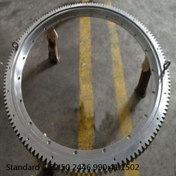 92.50.2446.990.41.1502 Standard 5 Slewing Ring Bearings