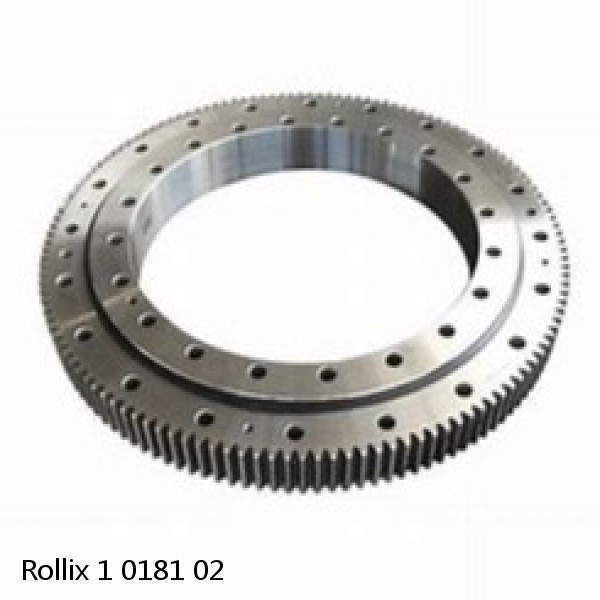 1 0181 02 Rollix Slewing Ring Bearings