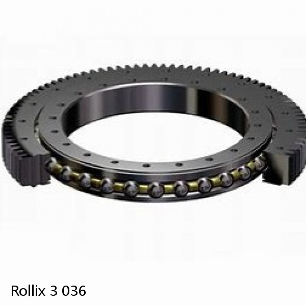 3 036 Rollix Slewing Ring Bearings